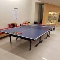 Classic Ping Pong